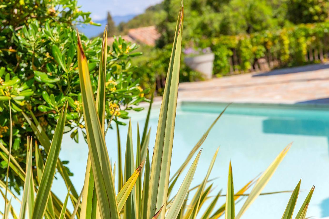 Residence Les Toits De Santa Giulia Porto-Vecchio  Ngoại thất bức ảnh