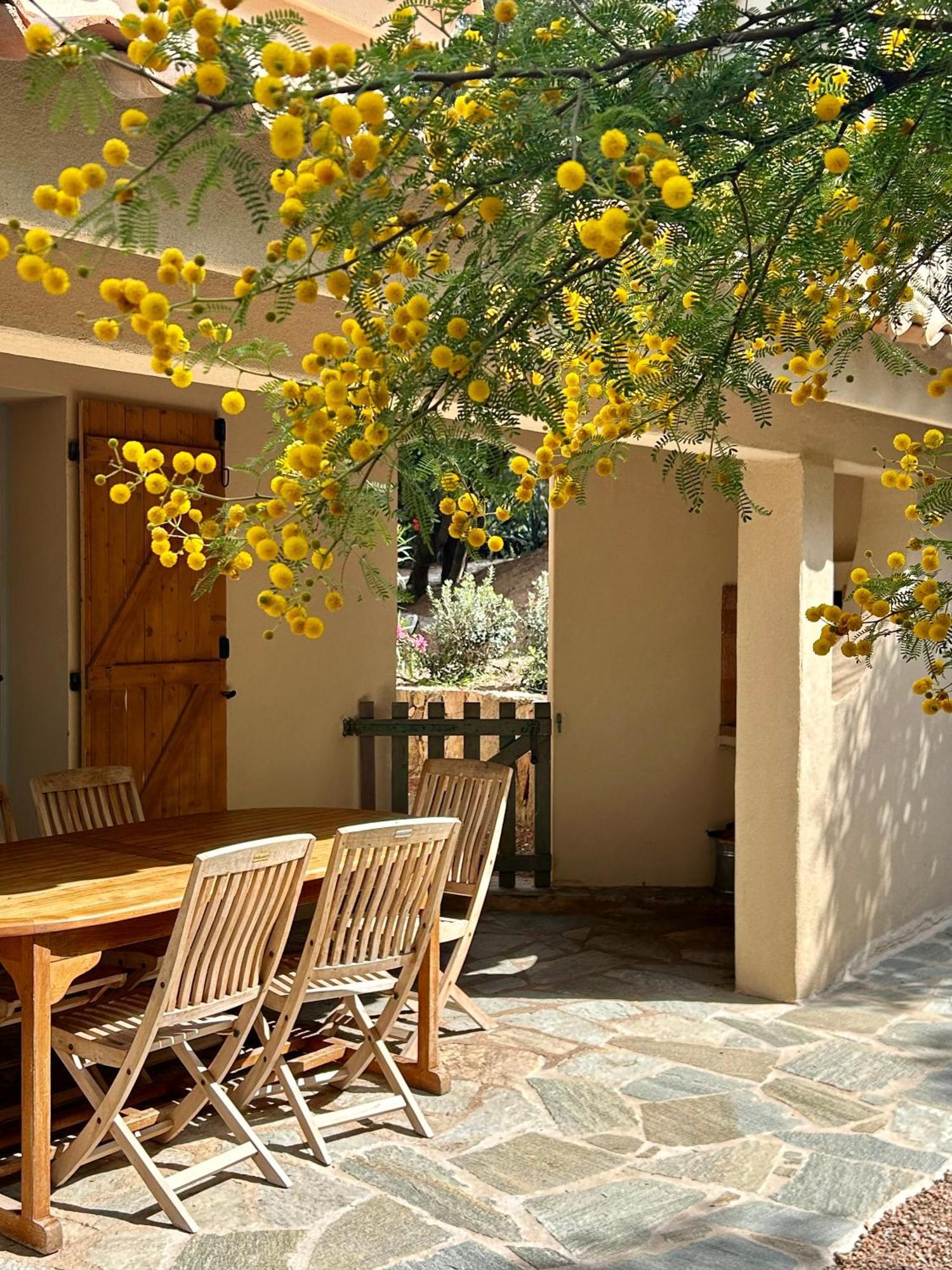 Residence Les Toits De Santa Giulia Porto-Vecchio  Ngoại thất bức ảnh